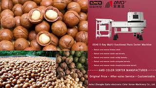 AMD X-ray Sorter Machine Price for Hawaii Macadamia Nuts Sorting