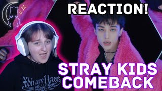 Kpop Reaction - Stray Kids Do It Mv