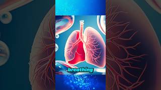 What Happens | Inside Your Body When | You Breathe? 😮#lungs #shortsfeed #breathingmatters