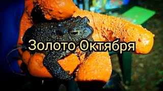 картинка: Золото Октября