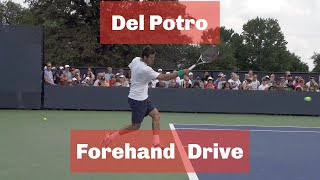Del Potro DRIVING Forehand Super Slow Motion