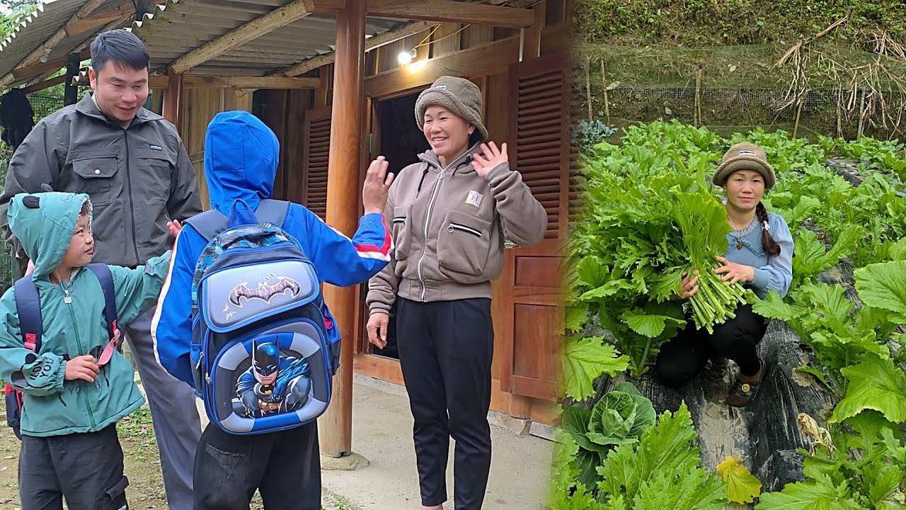 Harvesting vegetables to sell and earn money to support my children.DANG THI DU 