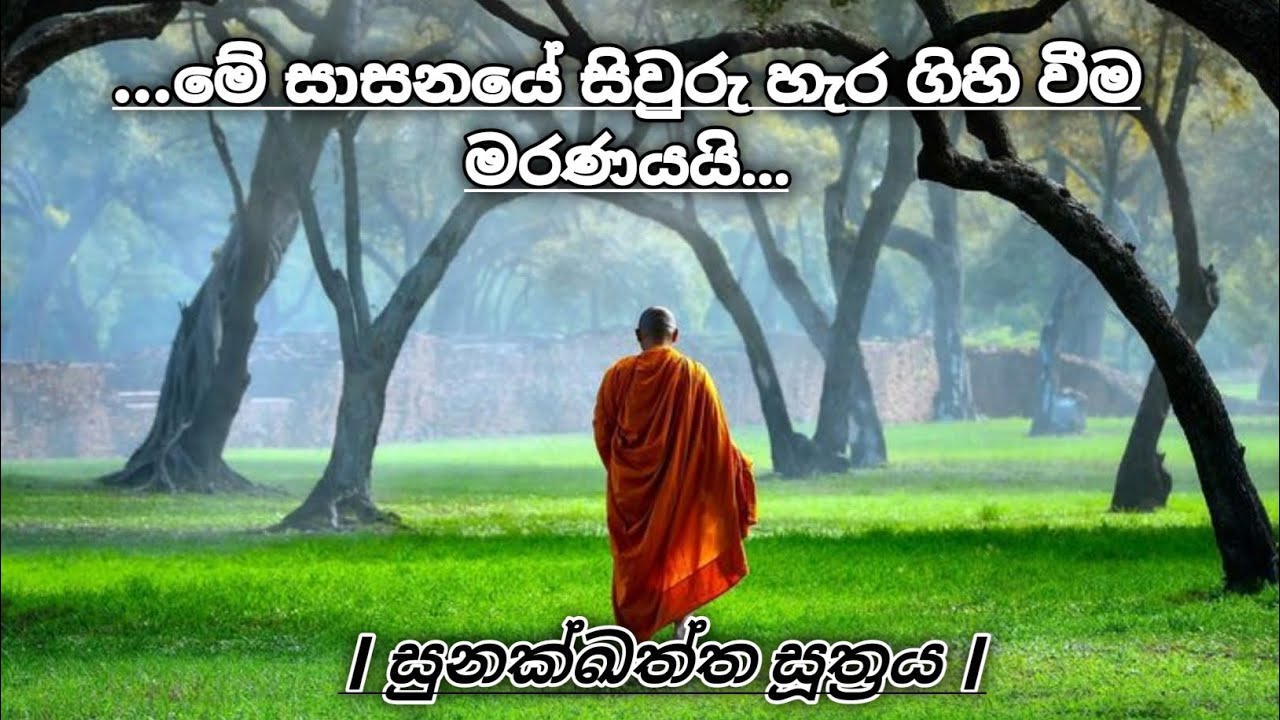 මේ සාසනයේ සිවුරු හැර ගිහි වීම මරණයයි... | සුනක්ඛත්ත සූත්‍රය |