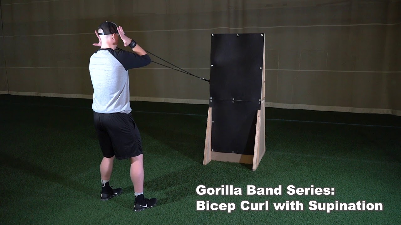 Silverback Sports Gorilla Band Series Bicep Curl with Supination