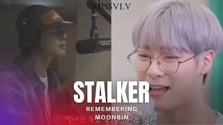 Stalker Song Cover