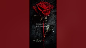 قرآن كريم #ترتيل_القرآن #المنشاوي #المصحف #الرحمن #القرآن_الكريم