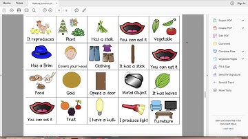 Feature, Function and Class Sorting Strips