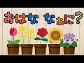 おはな なあに 花の名前 植物 ひらがな 幼児向け 知育 お勉強 子ども向け 日本語 チューリップ ひまわり なのはな たんぽぽ おはな なあに 花の名前 植物 ひらがな 幼児向け 知育 お勉強 子ども向け 日本語 チューリップ ひまわり なのはな たんぽぽ