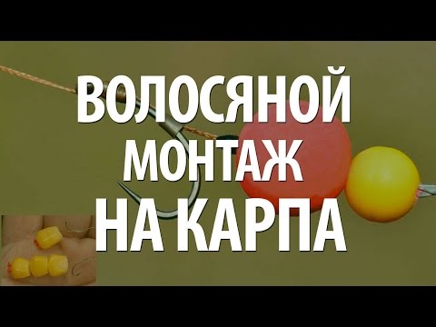 как правильно собрать рыболовную снасть на карпа