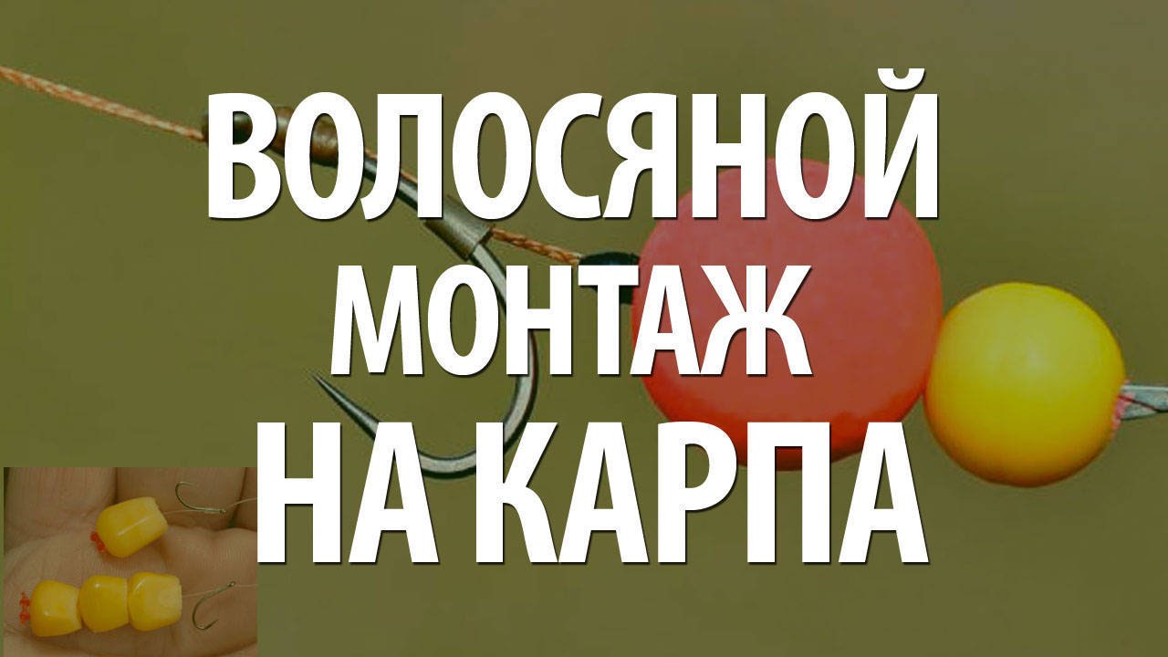 Как сделать волосяной монтаж на сазана: полезные советы и рекомендации