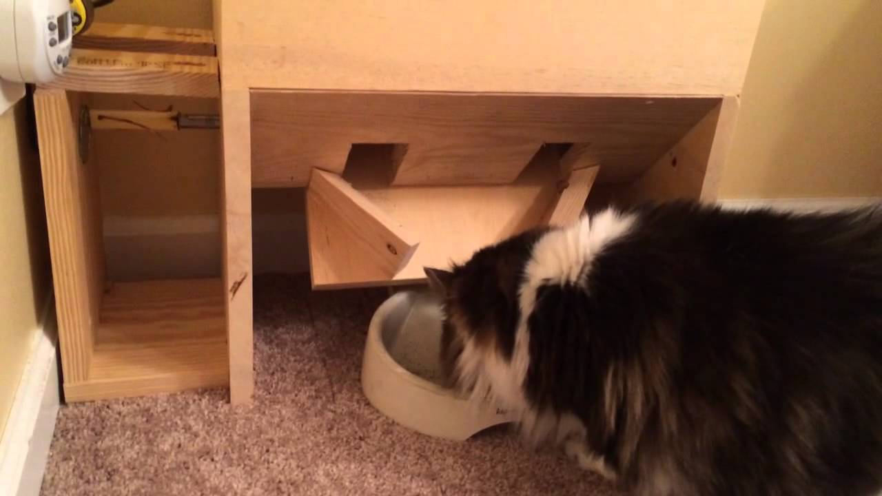 My homemade automatic cat feeder - YouTube