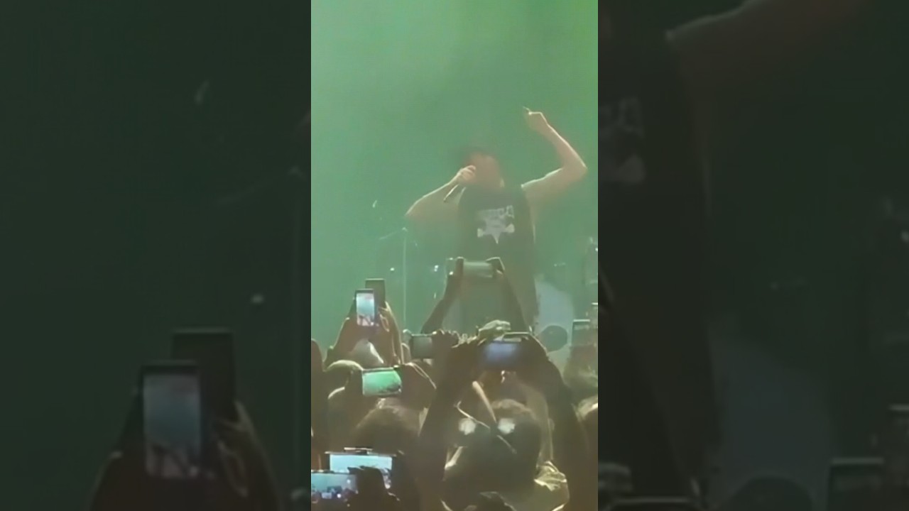 In The Shadows Live - The Rasmus at Their Best 