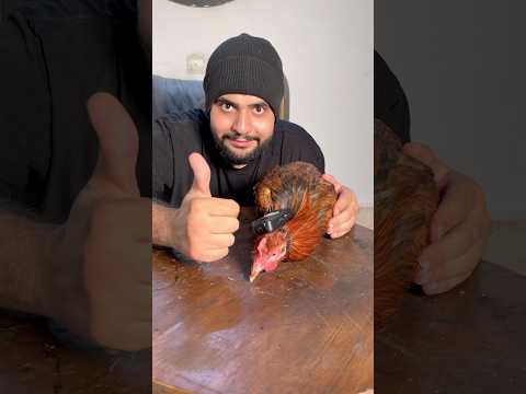 با مرغ زنده میشه لرزش گیر دوربین ساخت 