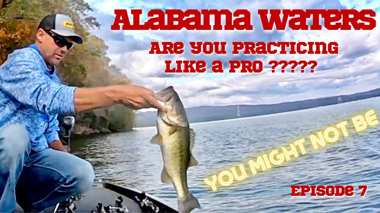 ALABAMA WATERS (Do you practice like this?) Episode 7 - YouTube