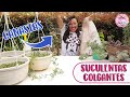 Plantando SUCULENTAS COLGANTES en canastas│Candy Bu