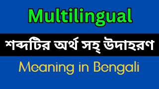 What Does Multilingual Mean