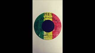 Junior Brown - Jah Is Real / Version