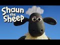 Salah Gaya Rambut  [Baa-d Hair Day] | Shaun the Sheep | Full Episode | Funny Cartoons For Kids