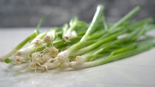 One Food Wonder: Scallions | WebMD