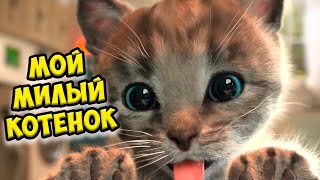 😻Мой милый котенок😻 Игра про котика Приключение