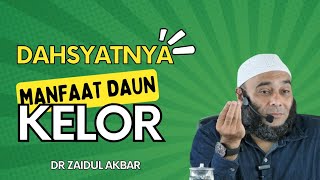 DAHSYATNYA MANFAAT DAUN KELOR - dr Zaidul Akbar terbaru 2024