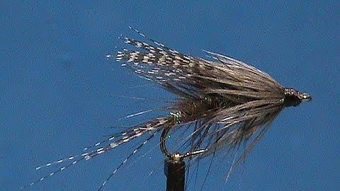Beginner Fly Tying a Teal and Brown Wet Fly with Jim Misiura