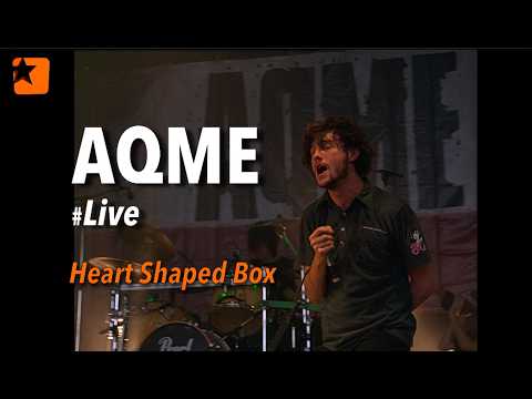 AqME -Heart Shaped Box- Live cover Nirvana 03