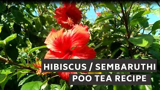 செம்பருத்தி பூ டீ | Hibiscus tea recipe | Sembaruthi poo tea | Karkade tea | Jamaica tea