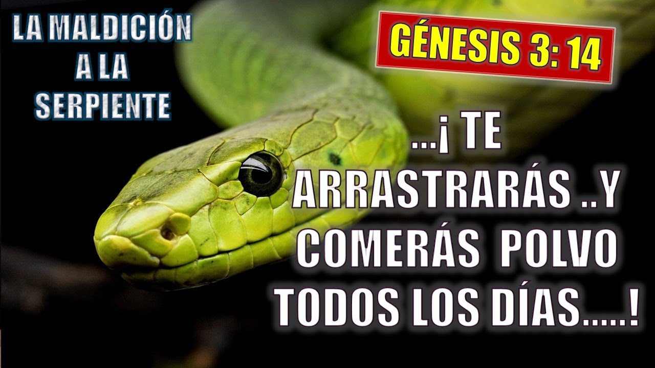 🐍 ¿Por qué Dios le dijo a la serpiente que comería polvo el resto de su