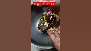 पार्थिव शिवलिंग का विसर्जन करते समय किन बातों का ध्यान रखना चाहिए🙏🌿#shorts  #facts #viralshorts