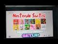 Nintendo Switch Setup