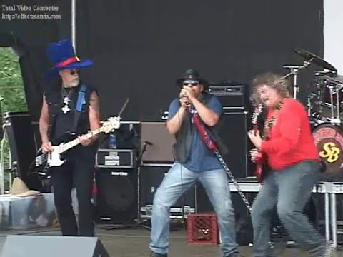 Lynyrd Skynyrd Call Me the Breeze Cover Live Jim Brennan & Southern Breeze JJ Cale Music