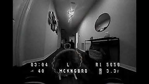 PROJECT MOCKINGBIRD HummingBird V1 BNF - First Flights