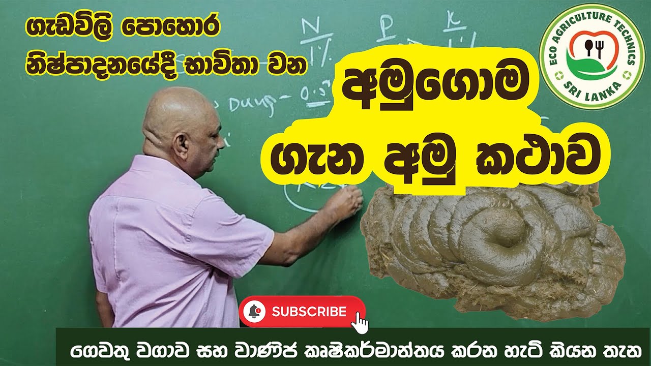 EP 35#ගැඩවිලි පොහොර නිපදවීමේදී භාවිතාවන අමුගොම පිළිබදව දැනගමු.