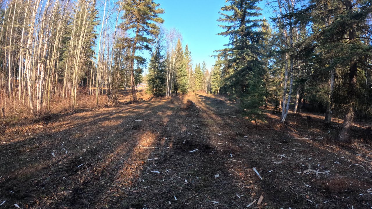 Cleaning up an Acreage in South Quesnel Day 1 YouTube