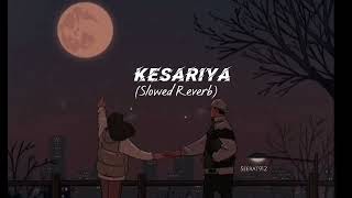 Kesariya (Slowed , Reverb) Resimi