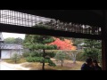 隋心院の紅葉