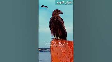 القرآن الكريم #المصحف #الرحمن #اكسبلور#استغفرالله #CapCut