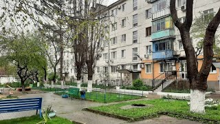 Купить трёхкомнатную квартиру в центре Новороссийска