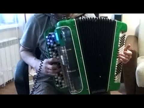 Человек и кошка