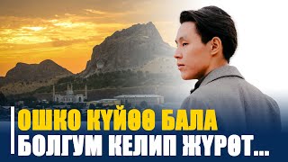 видео:  картинка: