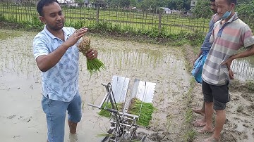 Rice transplanter (two row manual rice transplanter) 2nd