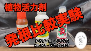 【活力剤比較】忖度なし、ガチ発根勝負！