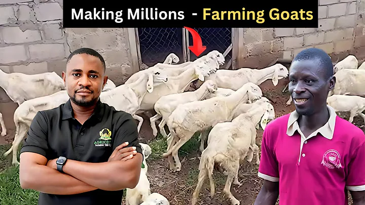 How this Man Started a Successful Goat Farm in Nigeria,Africa.
