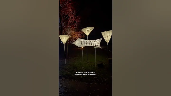 Wakehurst’s light trail ✨ #fyp #lighttrails #christmaslighttrail #festivevibes #daysout