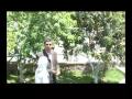 العصفورة نهائي معدلة