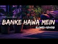 Banke hawa mein  slowedreverb  songg  best collection 2023 