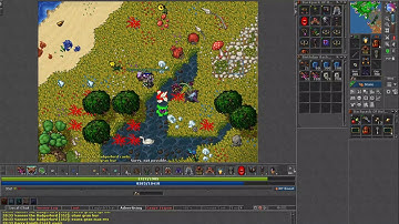 Exploring Feyrist -Tibia