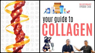 Your Guide To Collagen | The ATP Project 343