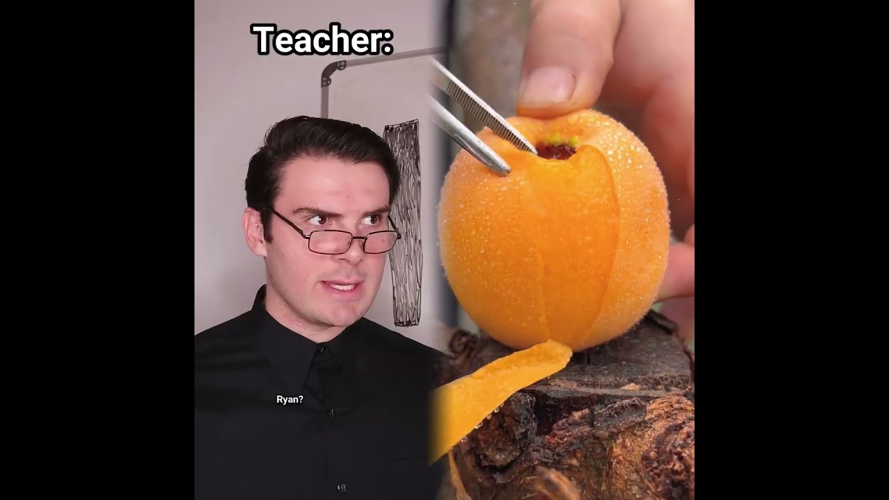 Students Excuses For Not Doing Their Homework 